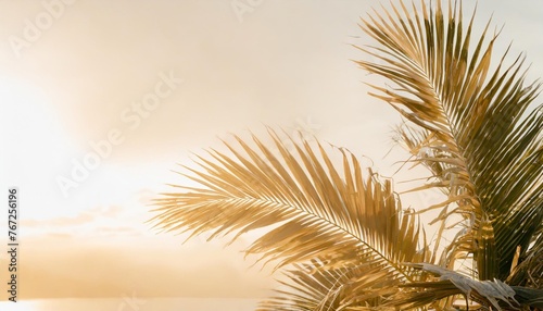 tropical leaves banner background with copy space minimal summer