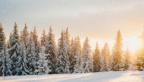 winter abstract minimal vertical background with fir trees covered with snow and copy space © Heaven