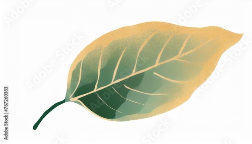 a green leaf is seen on a white background