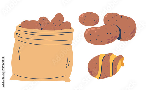 Rustic, Burlap Sack, Bulging With Earthy Potatoes. Each Spud, With Its Rough, Dirt-speckled Skin, Vector Illustration