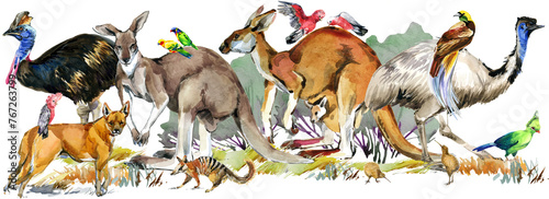 Australia animal and bird watercolor banner. Hand drawn  realistic illustration of Astralian wildlife fauna. © Елена Фаенкова