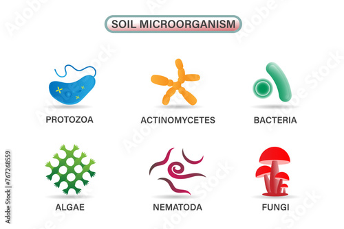 Several Important Microbes Living in Soil: Including Algae, Bacteria, Fungi, Nematodes, Protozoa, and Actinomycetes photo