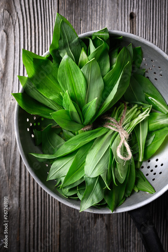 Top view on fresh leaves of bear's wild garlic bunch in metal colander on wooden table close up. Food photography