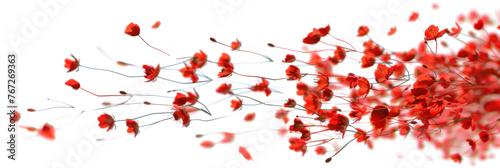 Abstract Twist of Red Flowers in Flight