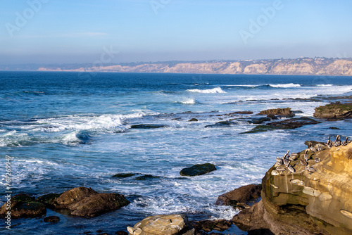 Ocean with rocks and birds