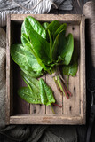 Fresh organic sorrel leaves in wooden box on home kitchen close up. Food photography