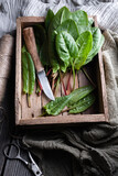 Fresh organic sorrel leaves in wooden box with knife close up. Food photography