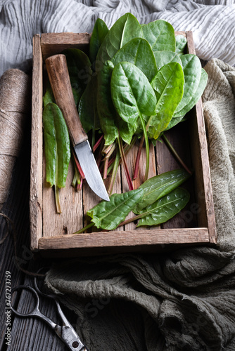 Fresh organic sorrel leaves in wooden box with knife close up. Food photography