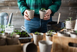 Farmer holding two peat cups with seedlings. Preparing plants for growing in open ground. Home gardening concept