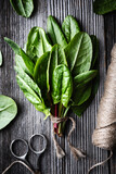 Bunch of fresh organic sorrel leaves on wooden table with scissors and rope. Food photography