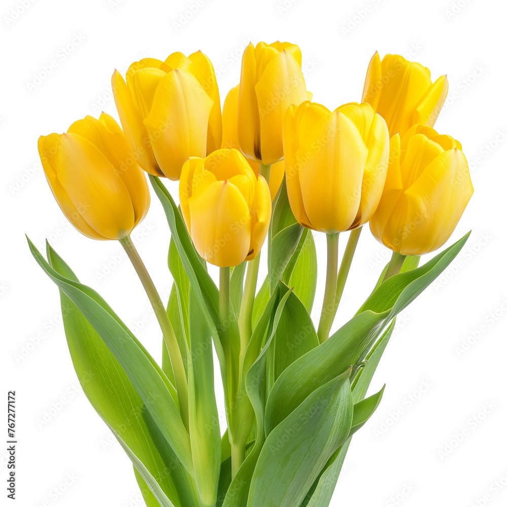 A bouquet of tulips on white isolated background. Flowers for valentines day or for women's day. Florist's or flower shop concept. Beautiful flowers. Yellow tulips. A bouquet of tulips on white isolated background. Flowers for valentines day or for women's day. Florist's or flower shop concept. Beautiful flowers. Yellow tulips.