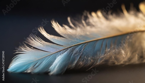 close up blue feather on black background with blurry image of feathers and bird s feathers