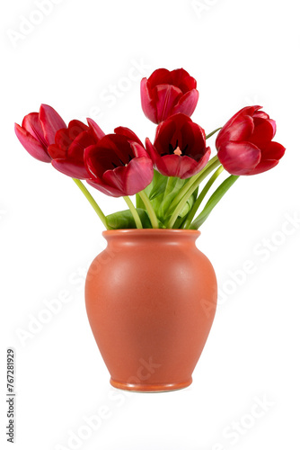 Tulips in a vase on a white background © Fridolin Schill