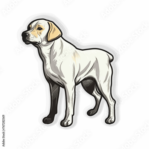 Labrador breed dog  sticker on a white background