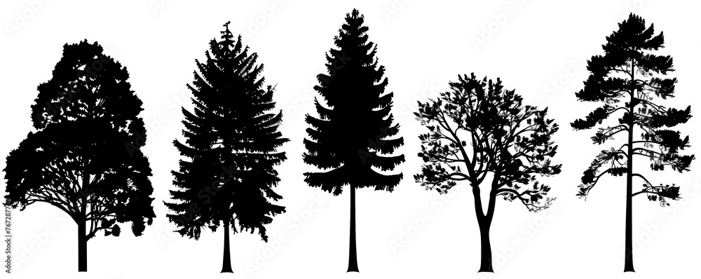 Realistic trees in black and white color, nature park silhouette icons. Different trees and shrubs of coniferous and deciduous forest with grass meadows. png on transparent background - obrazy, fototapety, plakaty 