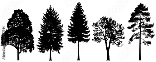 Realistic trees in black and white color, nature park silhouette icons. Different trees and shrubs of coniferous and deciduous forest with grass meadows. png on transparent background © Avector