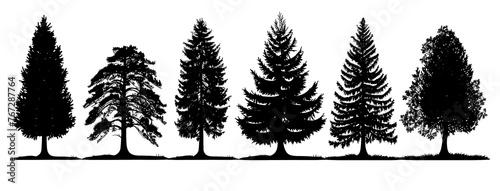 Realistic trees in black and white color, nature park silhouette icons. Different trees and shrubs of coniferous and deciduous forest with grass meadows. png on transparent background © Avector