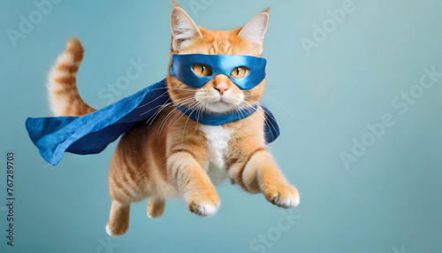 A cat is depicted wearing a blue mask and a matching cape, looking intrepid and ready for action. The feline seems to be embracing its alter ego with the playful costume © SolaruS