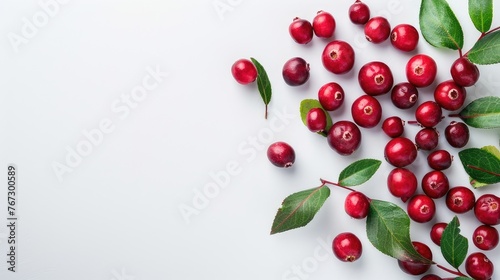 Red current bunch isolated. Redcurrant pile, ripe red current berries group on white background. Background with copy space