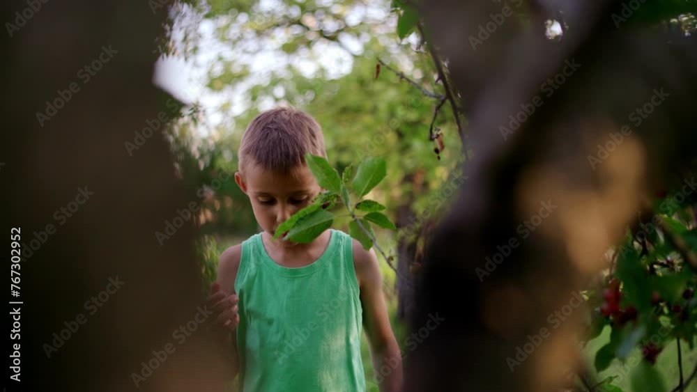 Cherry picking Cherry picking