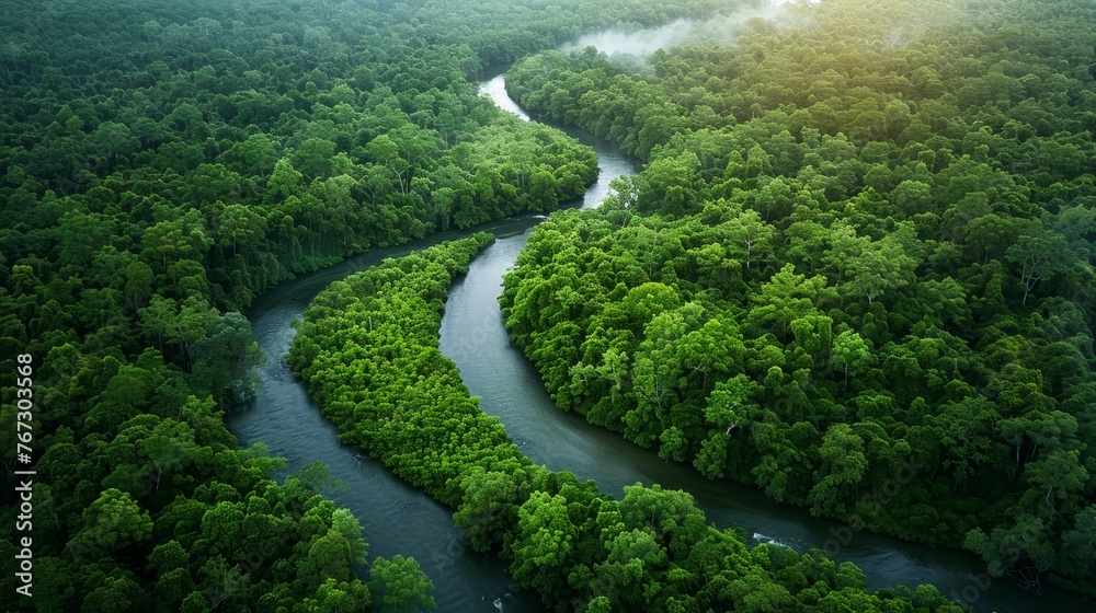 The environment: A serene forest scene with a winding river and lush green trees The environment: A serene forest scene with a winding river and lush green trees