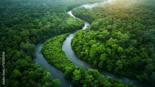 The environment: A serene forest scene with a winding river and lush green trees