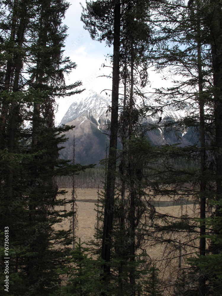 Canadian rockies - Jasper and Yoho National Parks - British Columbia - Canada