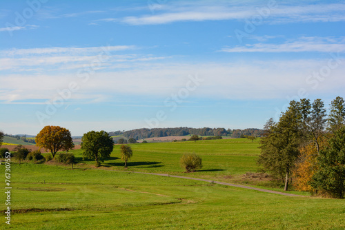 Landscape with meadow , blue sky and trees