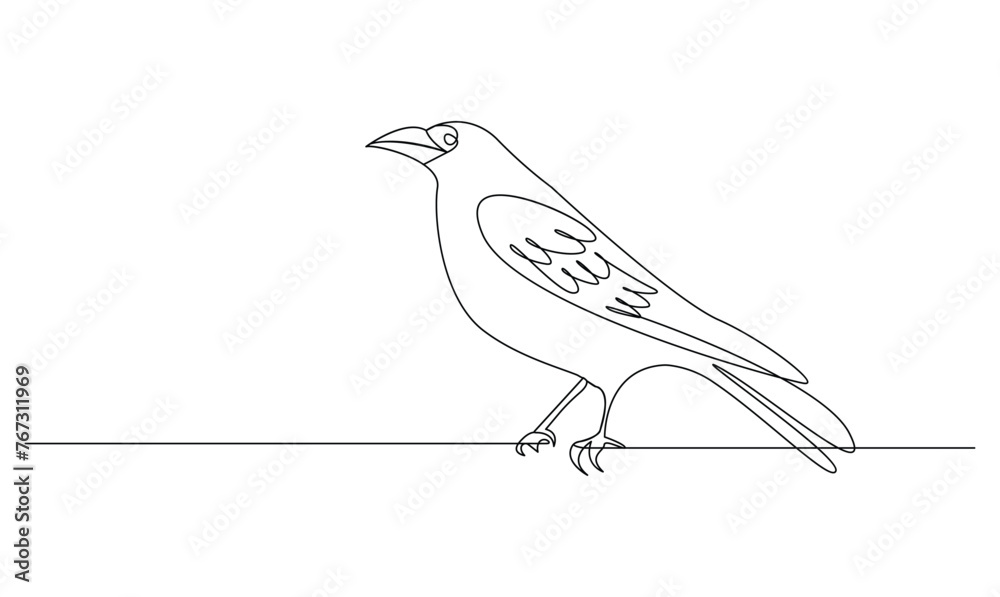 Vector continuous one simple abstract line drawing of crow bird in silhouette isolated on a white background Vector continuous one simple abstract line drawing of crow bird in silhouette isolated on a white background