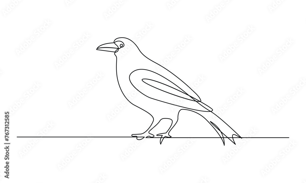 Vector continuous one simple abstract line drawing of crow bird in silhouette isolated on a white background Vector continuous one simple abstract line drawing of crow bird in silhouette isolated on a white background