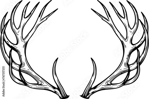 Deer Antlers Vector 