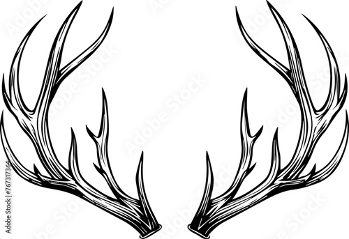 Deer Antlers Vector 
