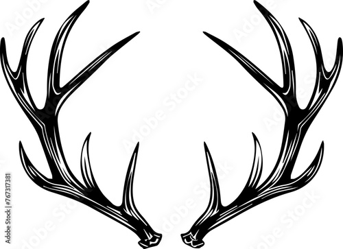 Deer Antlers Vector 