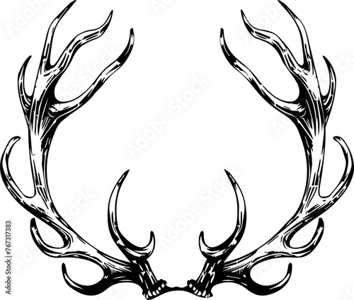 Deer Antlers Vector 