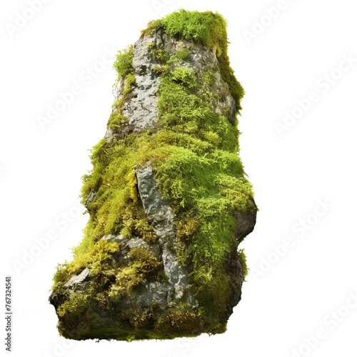 Beautiful Natural Tall Rock with Moss Transparent