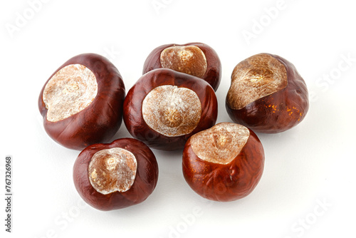 Horse chestnut nut