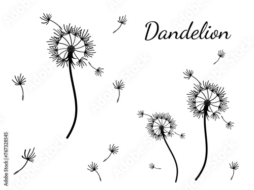 Dandelion_background3-48.eps
