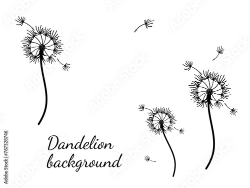 Dandelion_background3-50.eps