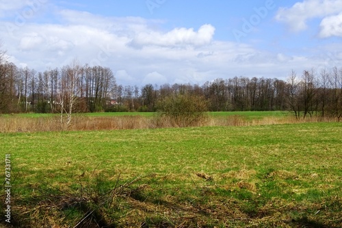 Fototapeta Naklejka Na Ścianę i Meble -  pola