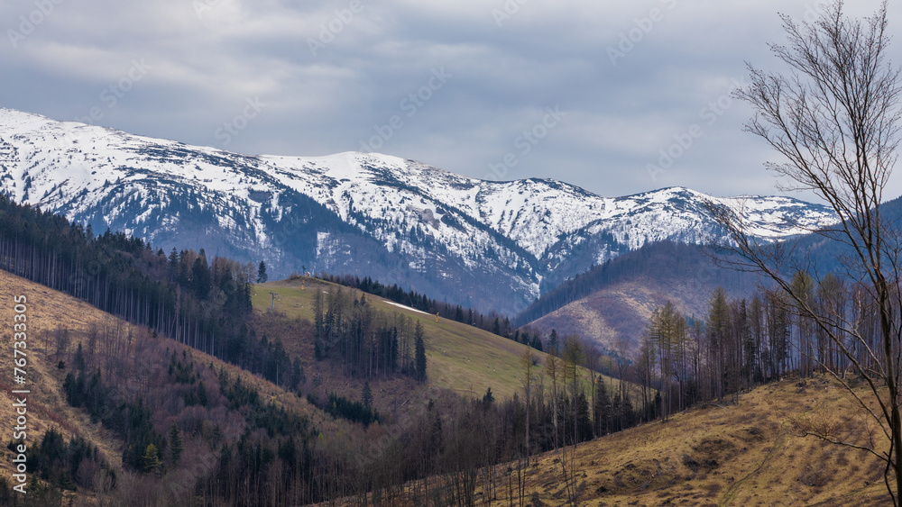 Spring landscape with snowy mountains in the background. View of The Mala Fatra national park in Slovakia, Europe.