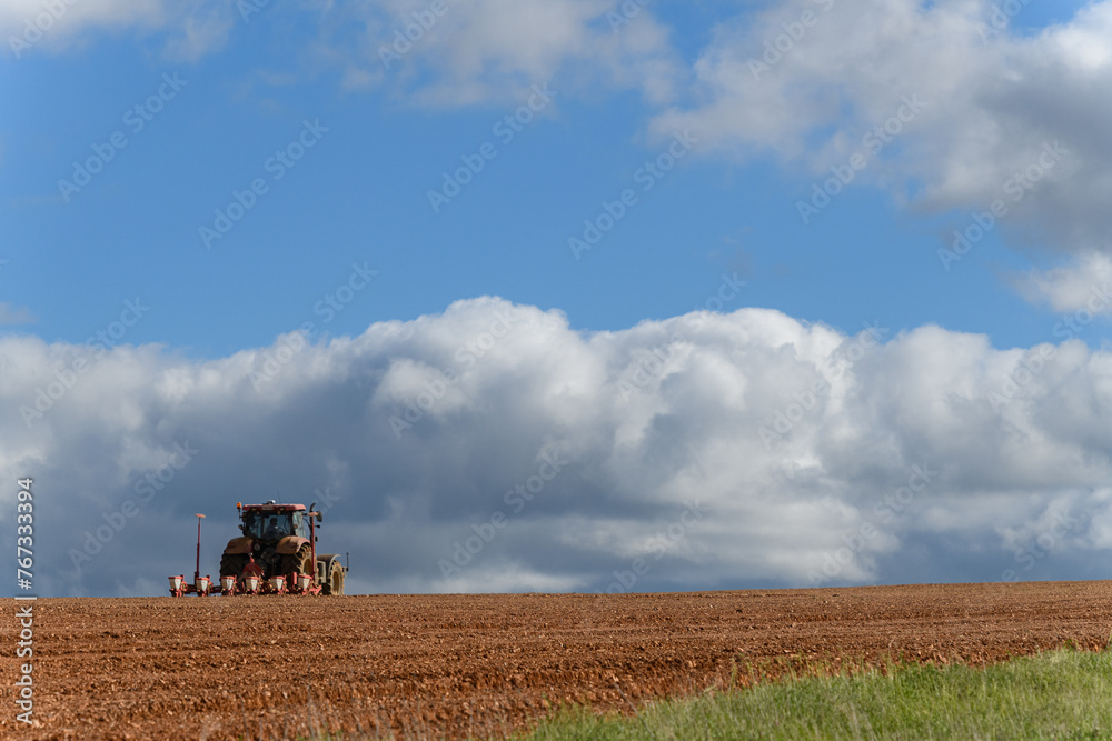 Fototapeta premium TRACTOR REALIZANDO TRABAJOS EN EL CAMPO
