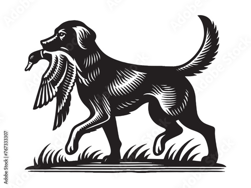 Hunting dog with a duck in its mouth. Beautiful vintage engraving illustration, emblem, icon, logo. Black lines	