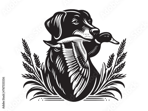 Hunting dog with a duck in its mouth. Beautiful vintage engraving illustration, emblem, icon, logo. Black lines	