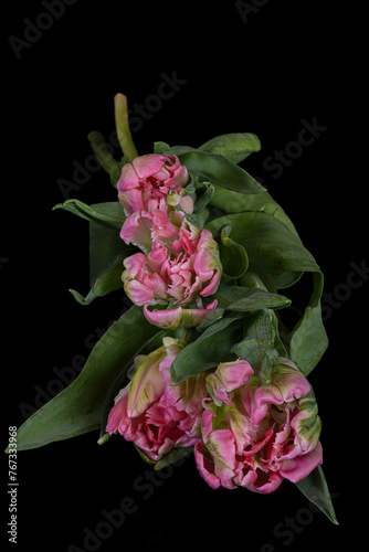 bouquet of 
tulips