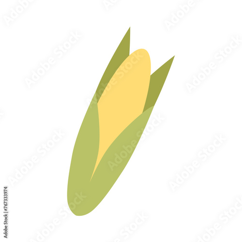 Corn, vector flat illustration. Healthy food and vitamins. 