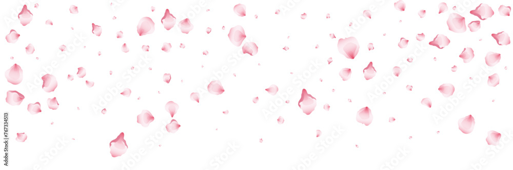 Flying pink petals transparent background. Beautiful floral overlay with lots of rose petals.