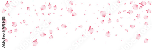 Flying pink petals transparent background. Beautiful floral overlay with lots of rose petals.