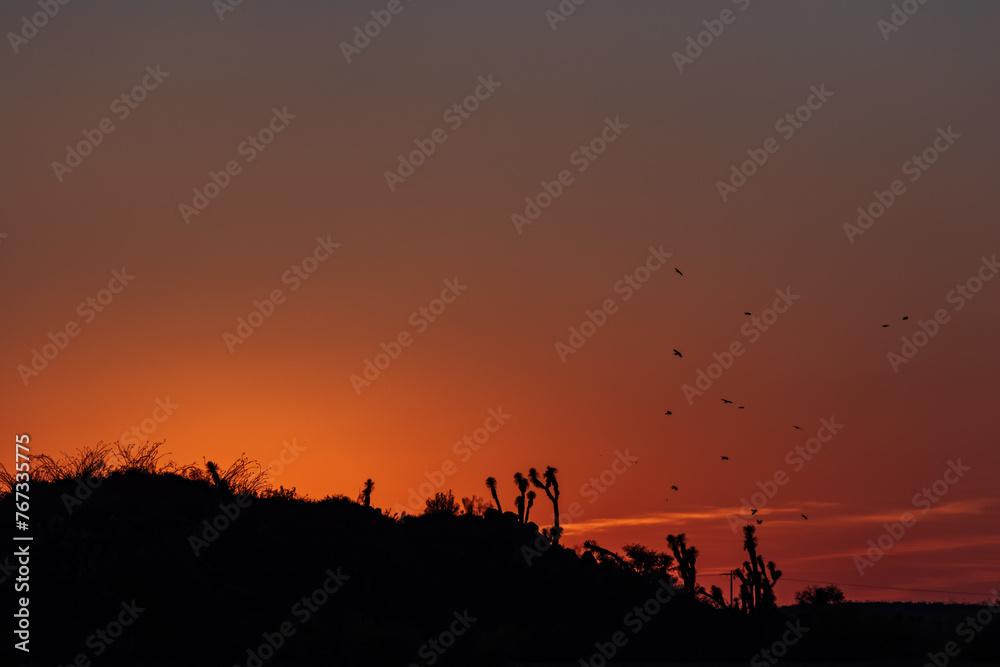 Atardecer en el desierto Atardecer en el desierto