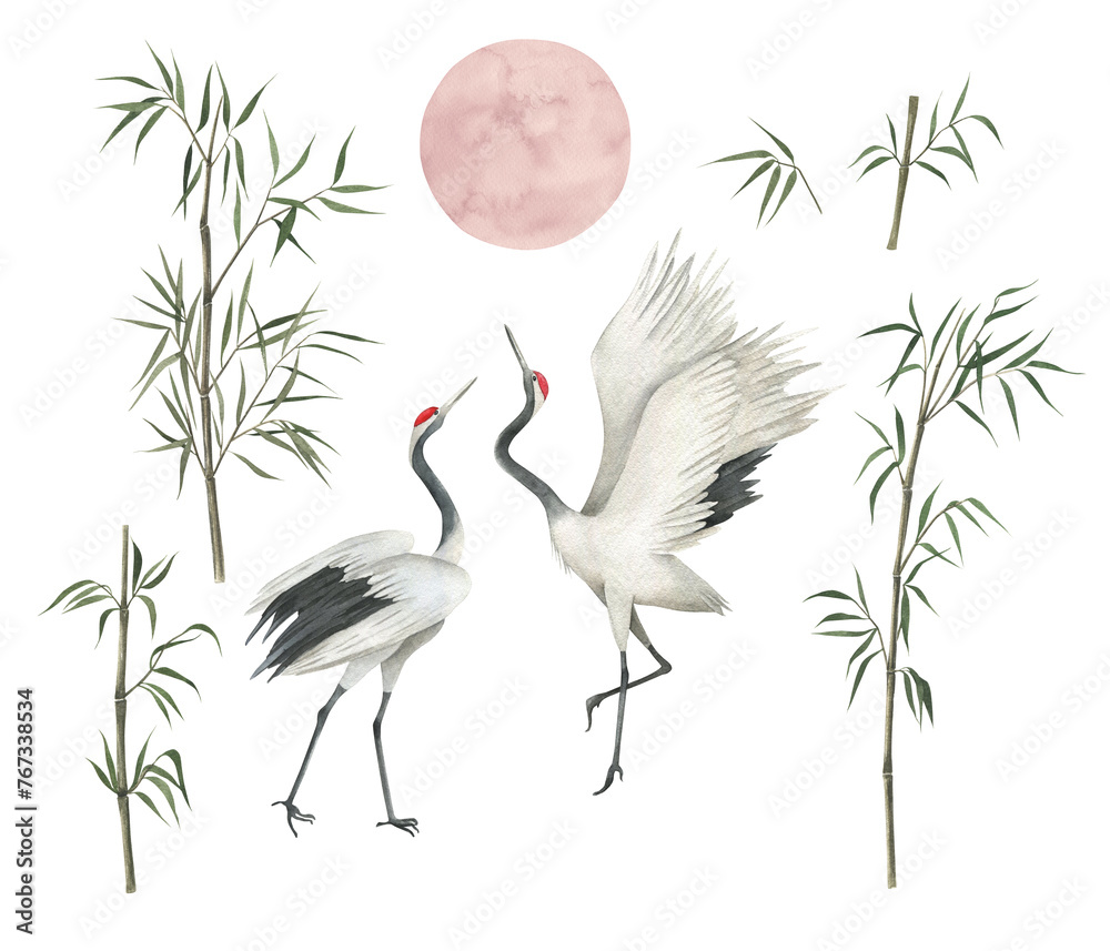 Obraz premium Watercolor collection with cranes, flower bamboo and moon. Japanese design. Hand drawn isolated illustration on white background