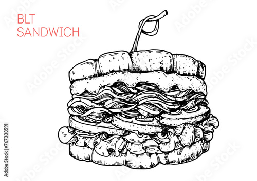BLT sandwich sketch. Hand drawn vector illustration. not AI